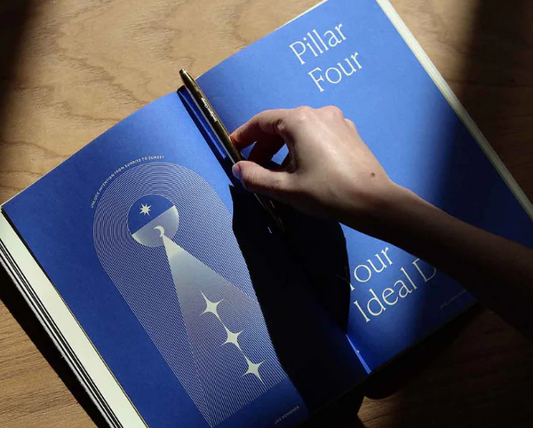 Life Designer Journal by Intelligent Change