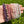 Load image into Gallery viewer, howlite, amethyst, rhodonite, flower agate, clear quartz and strawberry quartz crystal bracelets at the serenity space
