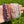 Load image into Gallery viewer, howlite, amethyst, rhodonite, flower agate, clear quartz and strawberry quartz crystal bracelets at the serenity space